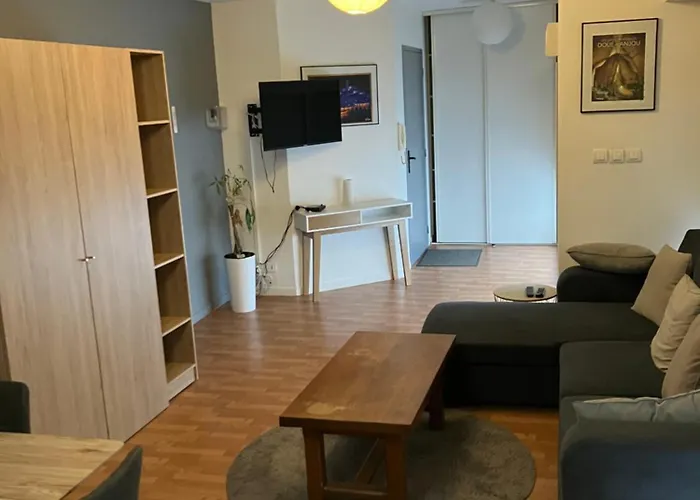Grand Studio Centre Ville St Pierre